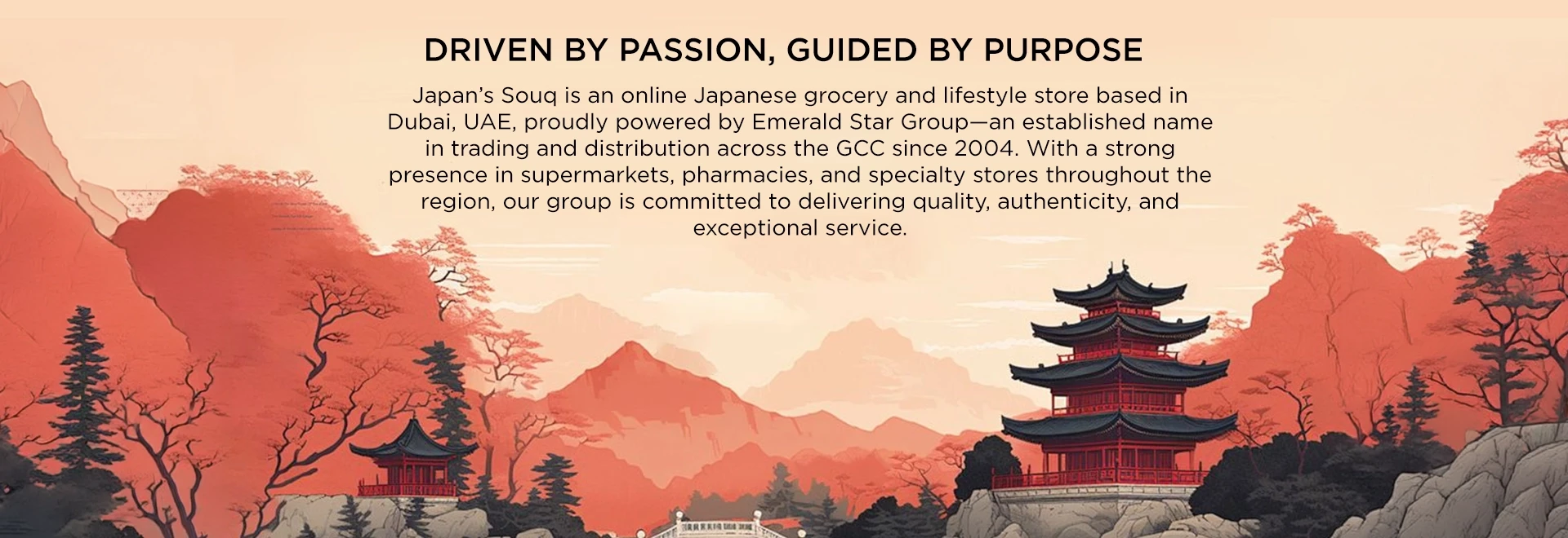 The Story Behind Japan's Souq